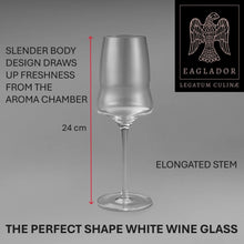 White Wine Glasses | Set of Six | Eaglador Eaglador