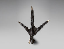 Wild Turkey Claw Bronze Sculpture